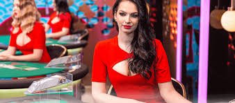 6z bet