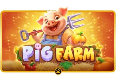 6z bet